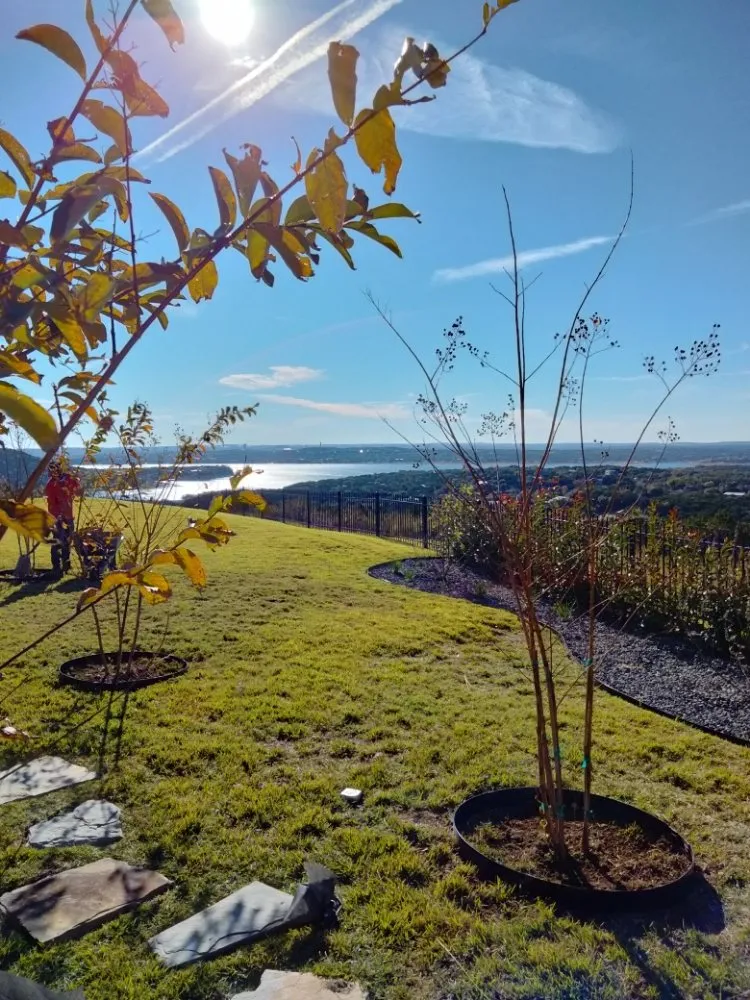 Reliable lawn care service experts serving Brushy Creek, TX - Luis Landscaping