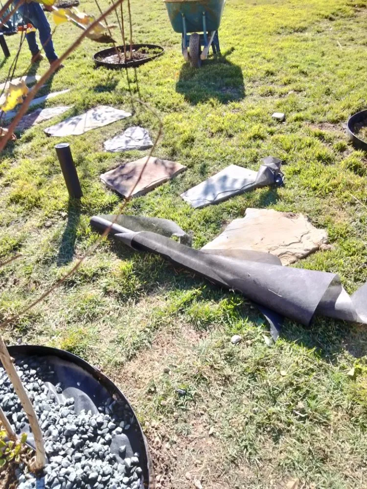 Reliable yard maintenance experts serving Brushy Creek, TX - Luis Landscaping