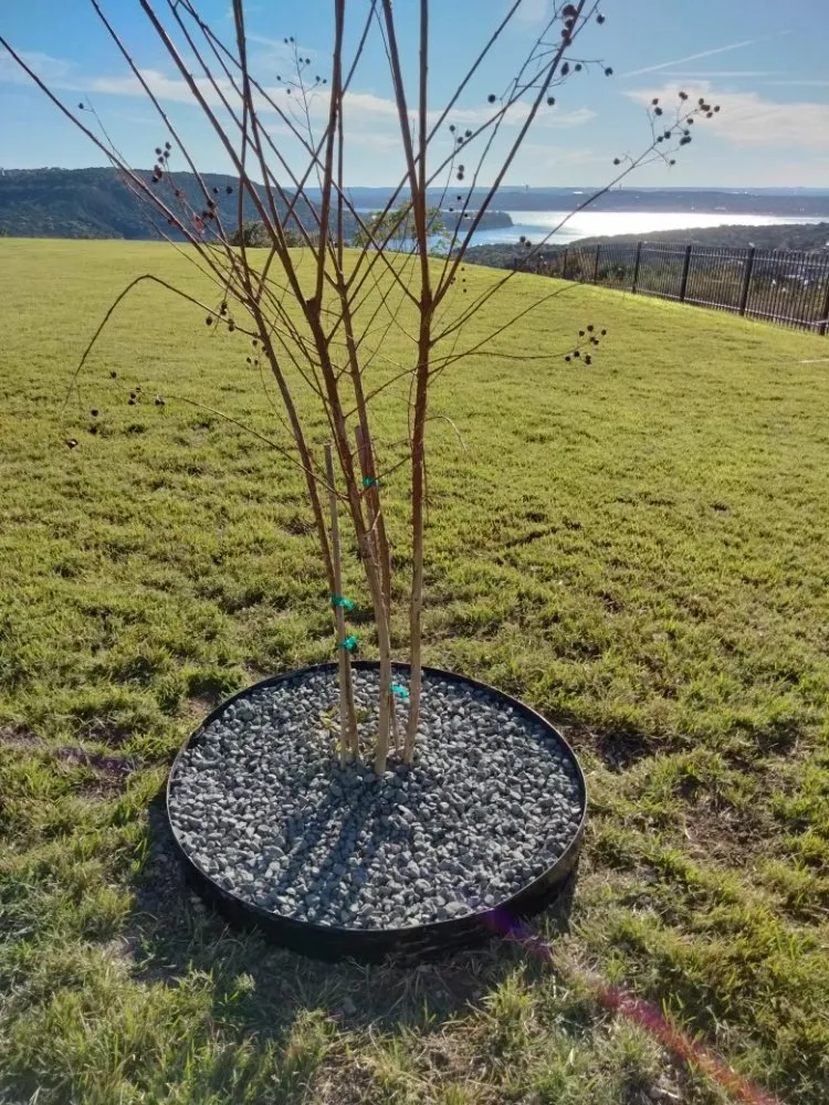 Reliable yard maintenance in Brushy Creek, TX by Luis Landscaping