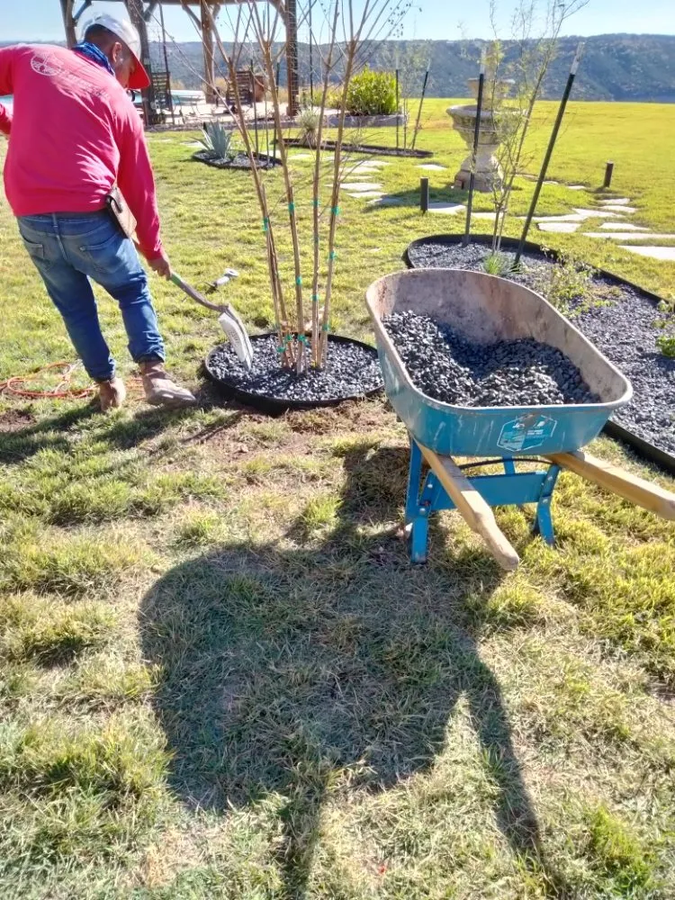 Local yard maintenance for residential properties in Brushy Creek, TX by Luis Landscaping