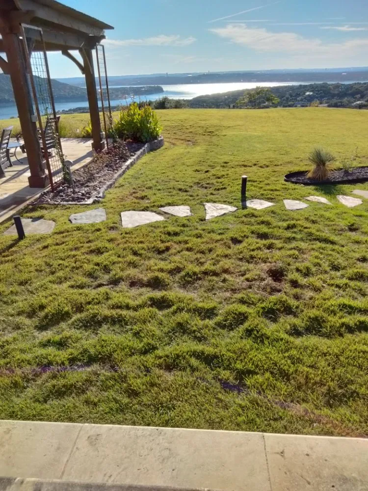 Reliable yard cleanup service in Brushy Creek, TX - Luis Landscaping