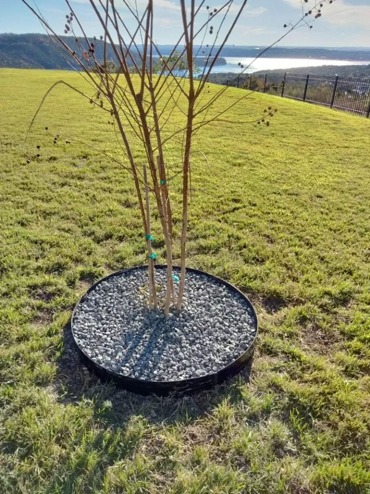 Top-rated lawn mowing service for homes across Brushy Creek, TX - Luis Landscaping