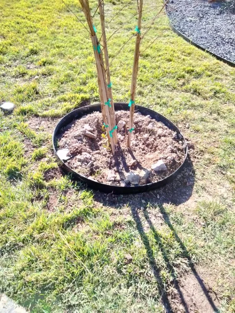 Custom garden landscaping for residential properties in Brushy Creek, TX by Luis Landscaping