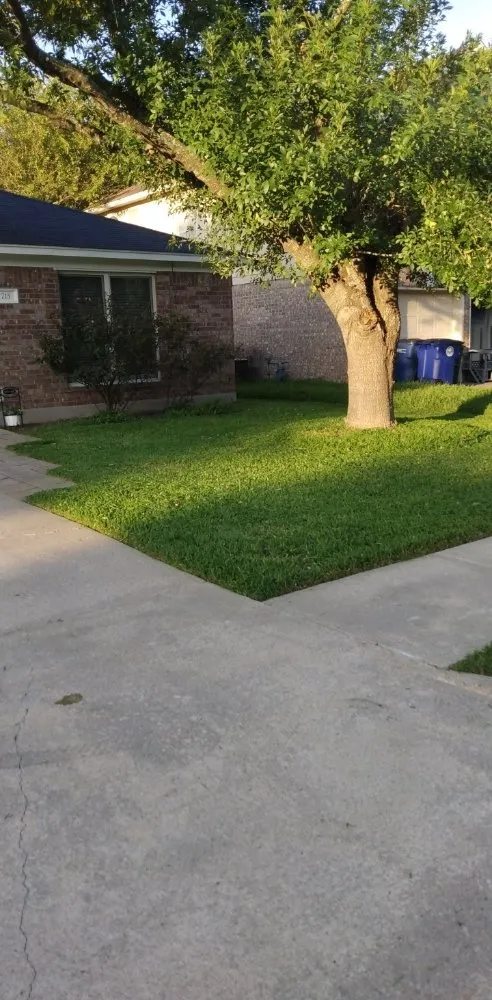 Professional residential landscaping for residential properties across Brushy Creek, TX - Luis Landscaping