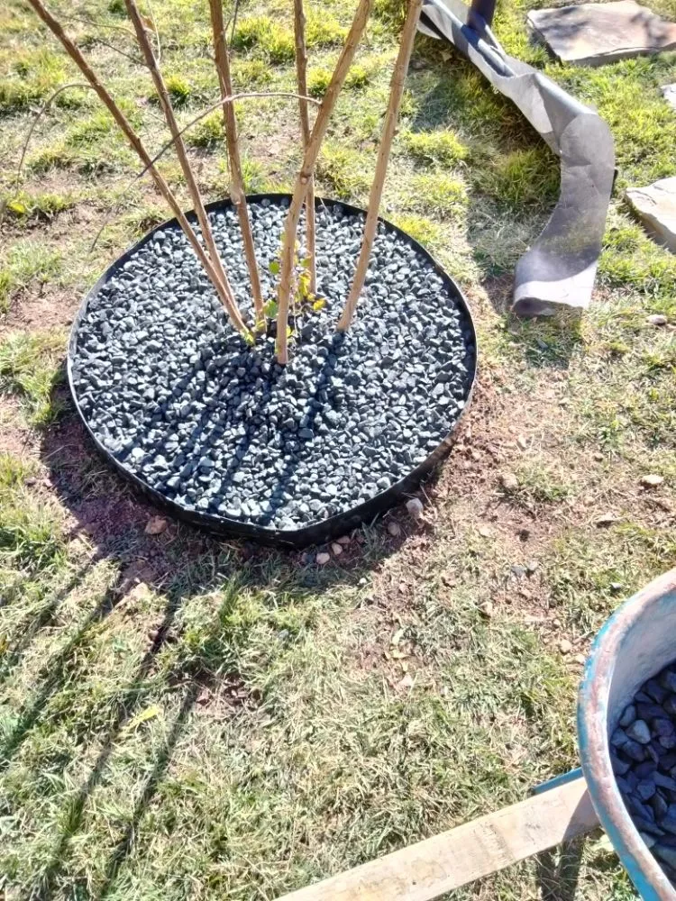 Custom outdoor landscaping experts serving Brushy Creek, TX - Luis Landscaping