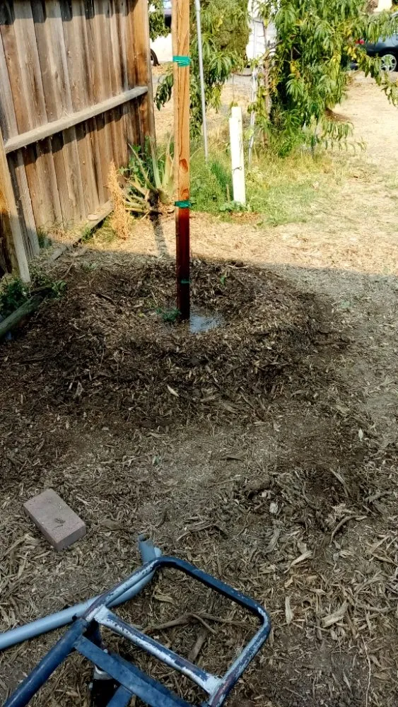 Affordable landscape installation for outdoor upgrades across San Jose, CA - Luis Landscaping Maintenance