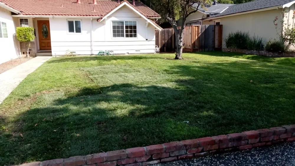 Expert yard maintenance experts serving San Jose, CA - Luis Landscaping Maintenance