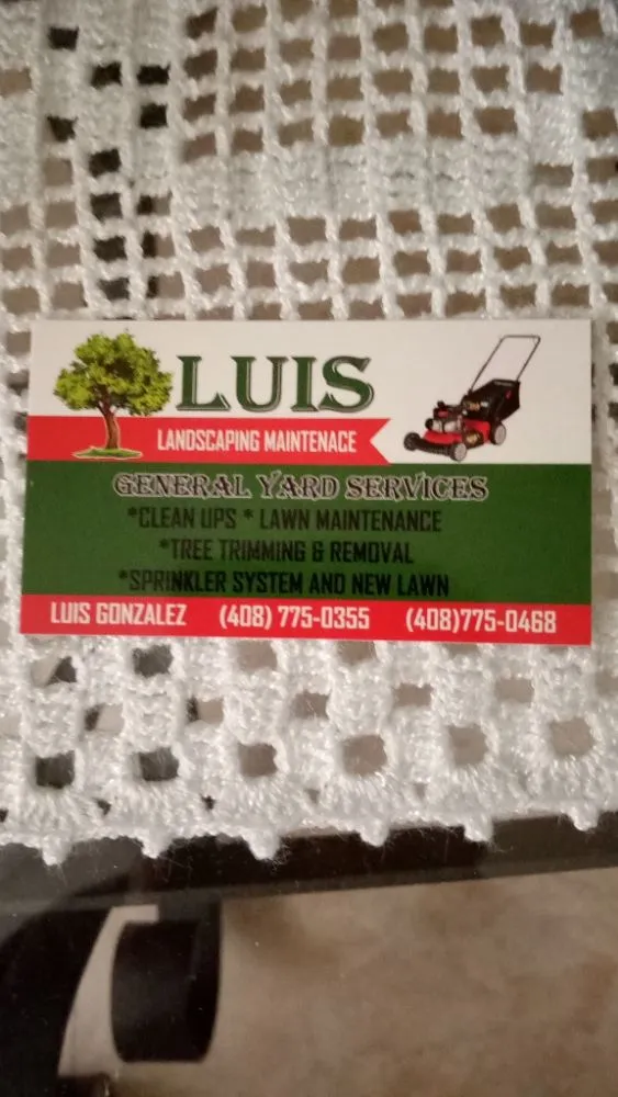 Expert lawn care service for year-round maintenance across San Jose, CA - Luis Landscaping Maintenance