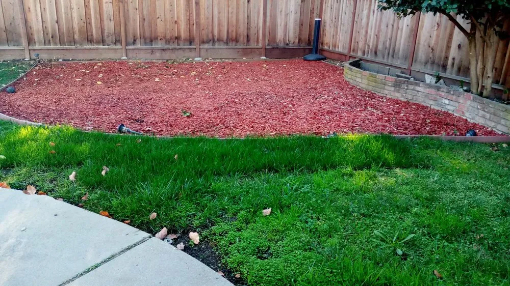 Custom landscaping services in San Jose, CA - Luis Landscaping Maintenance