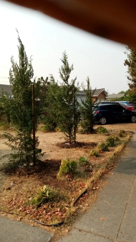 Custom outdoor landscaping experts serving San Jose, CA - Luis Landscaping Maintenance