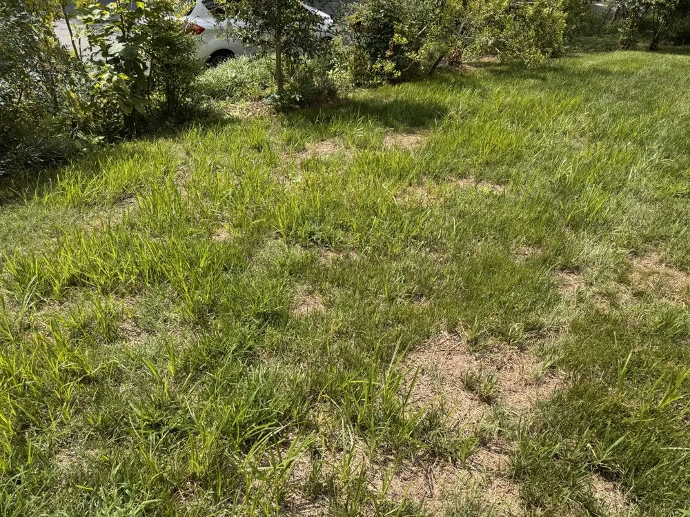 Custom residential landscaping experts serving Mint Hill, NC - Luis Landscaping