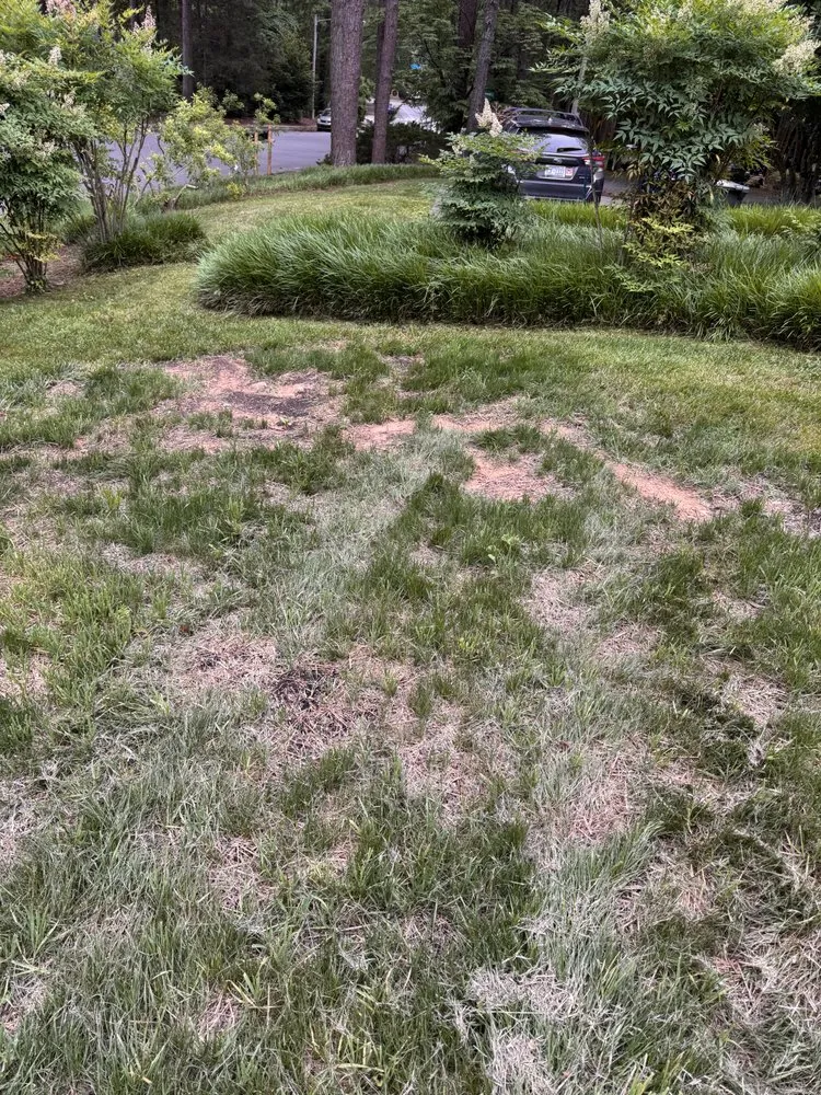 Custom yard maintenance in Mint Hill, NC - Luis Landscaping