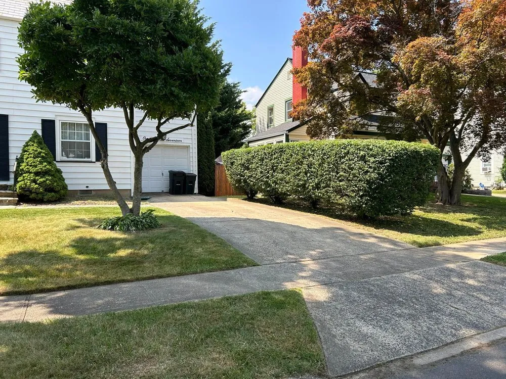 Top-rated lawn care service in Newfield, NJ by Luis Landscaping