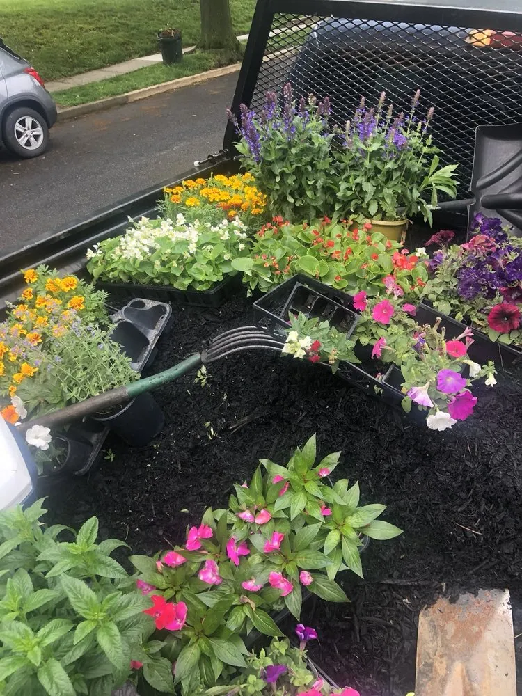 Top-rated residential landscaping in Philadelphia, PA by Luis Landscaping