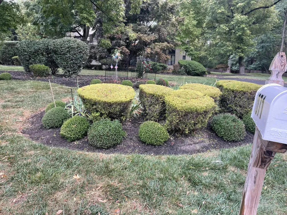 Local residential landscaping in Philadelphia, PA - Luis Landscaping