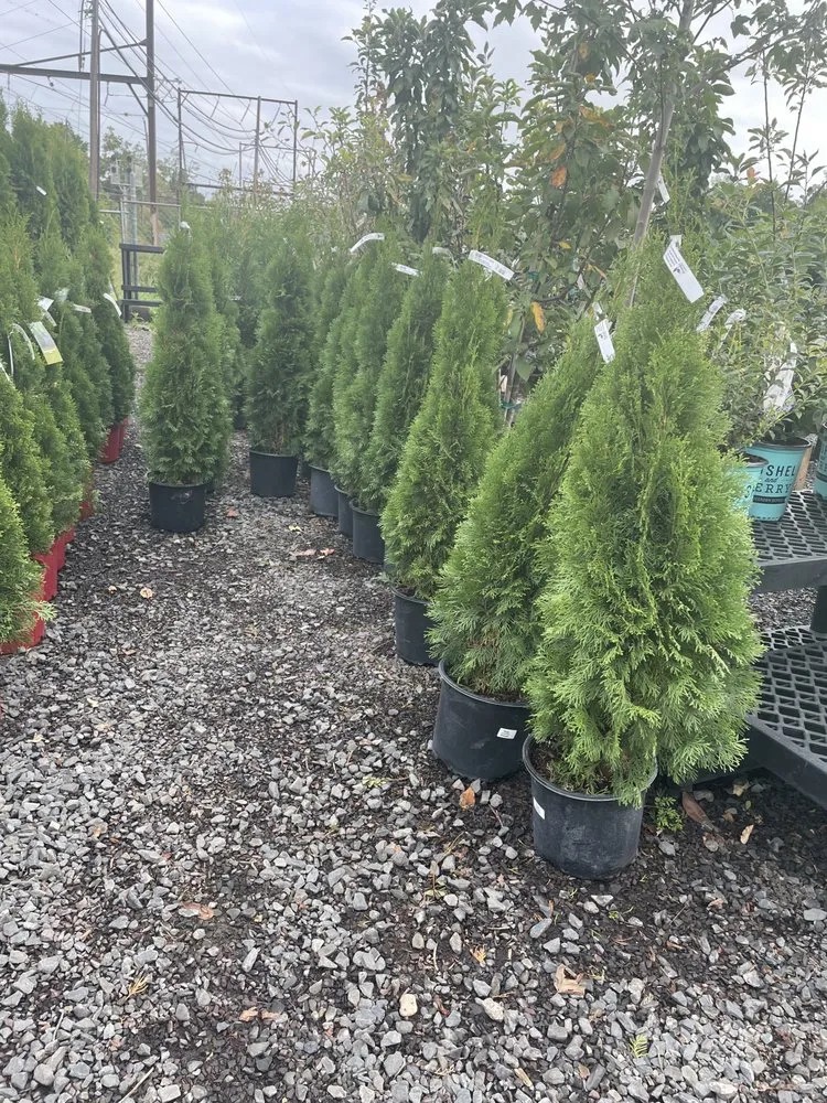 Reliable yard maintenance with custom design across Philadelphia, PA - Luis Landscaping