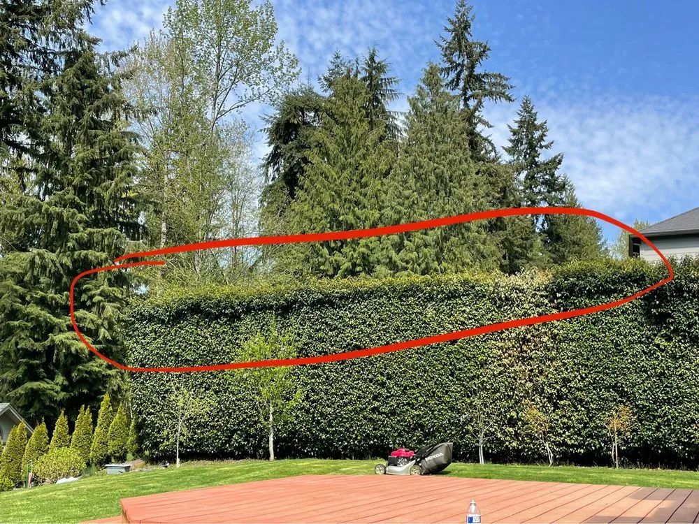 Top-rated landscape design with custom design in Seattle, WA by Luis Landscaping