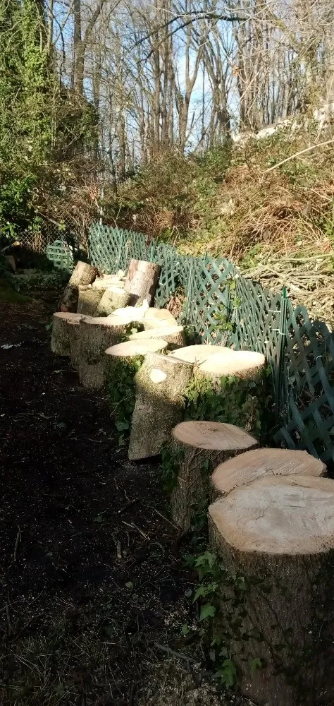 Expert lawn mowing service for homes in Seattle, WA by Luis Landscaping