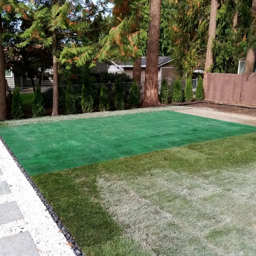 Expert yard cleanup service near you across Seattle, WA - Luis Landscaping