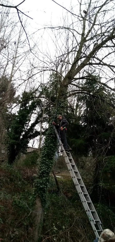 Trusted outdoor landscaping in Seattle, WA - Luis Landscaping