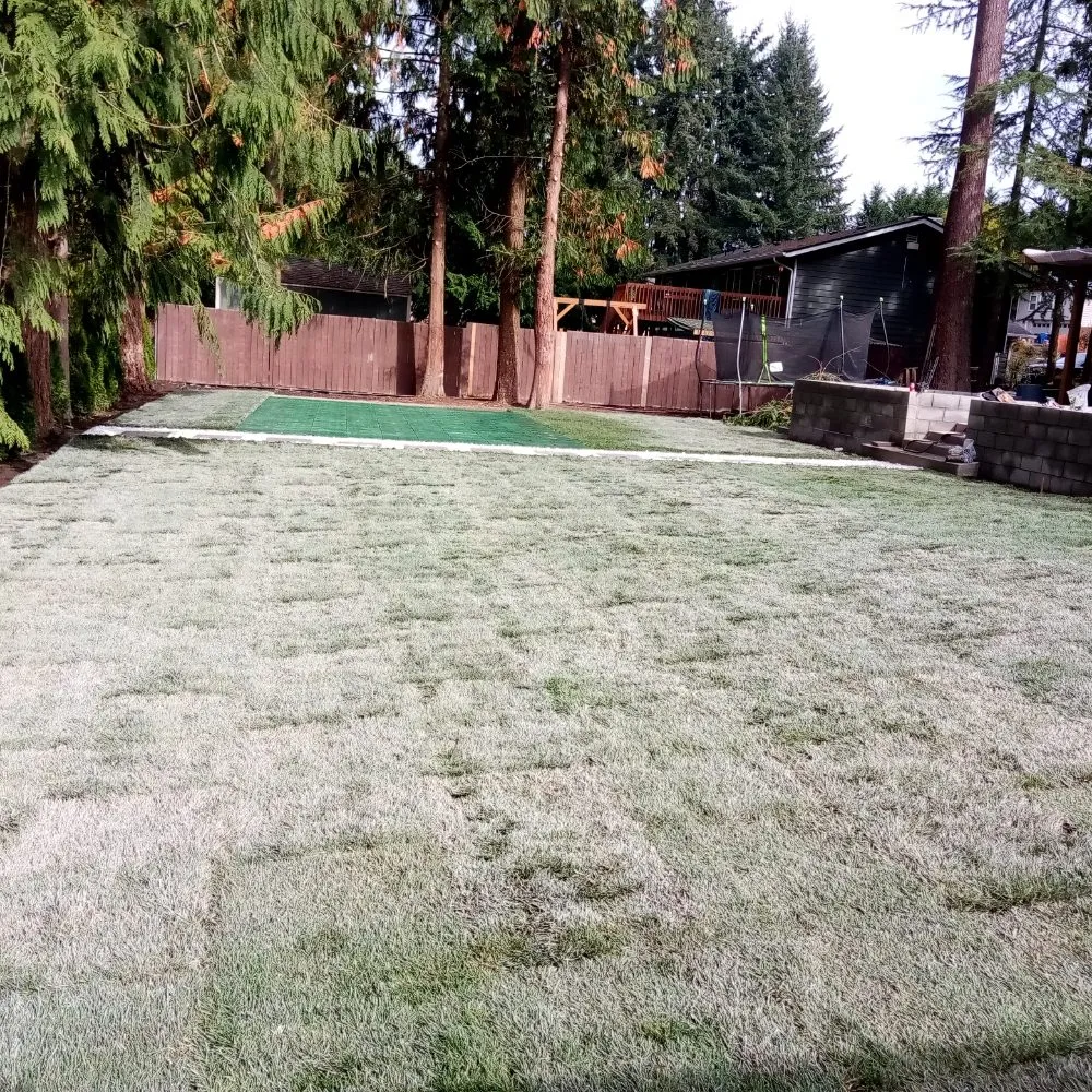 Affordable lawn care service in Seattle, WA - Luis Landscaping