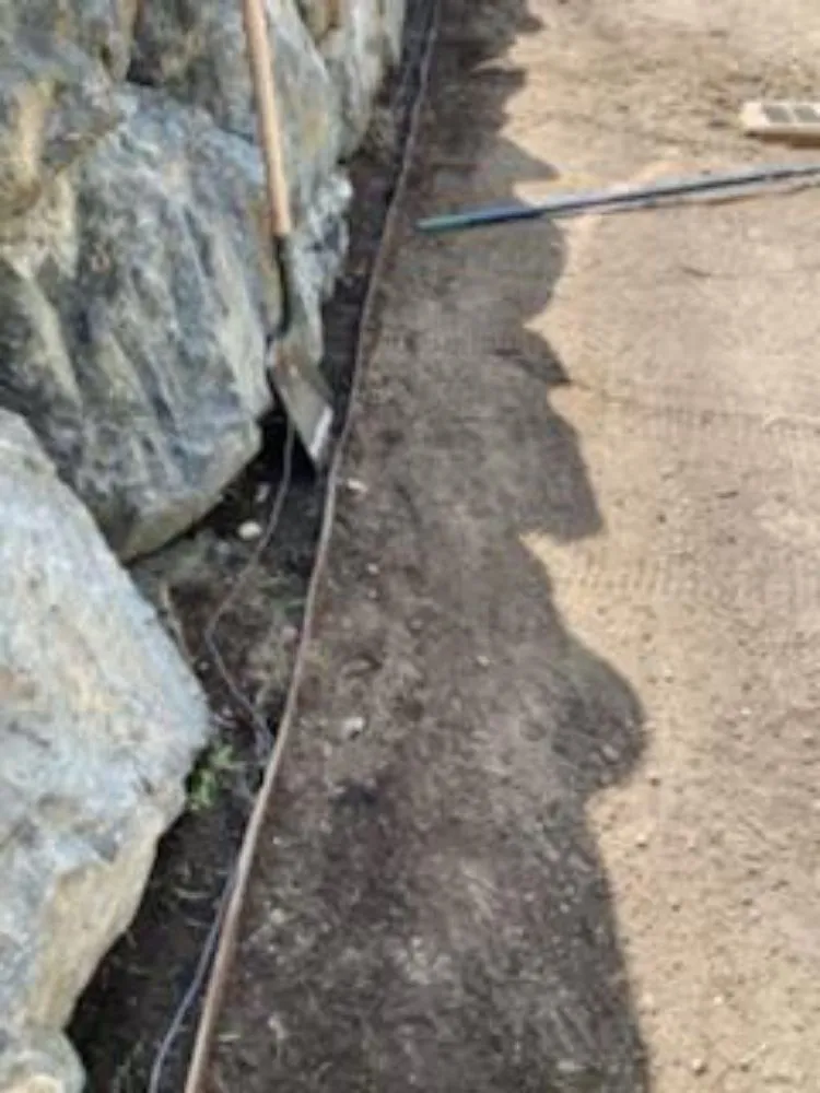 Affordable yard cleanup service in Seattle, WA - Luis Landscaping