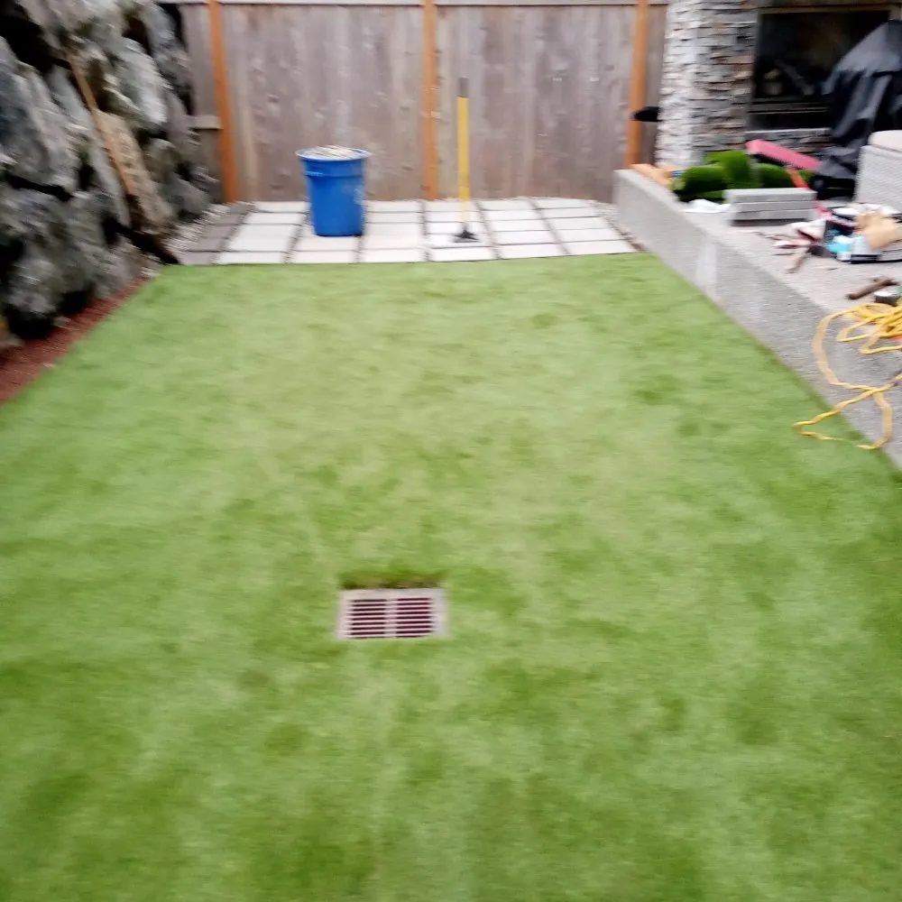 Professional landscape design for homes in Seattle, WA by Luis Landscaping