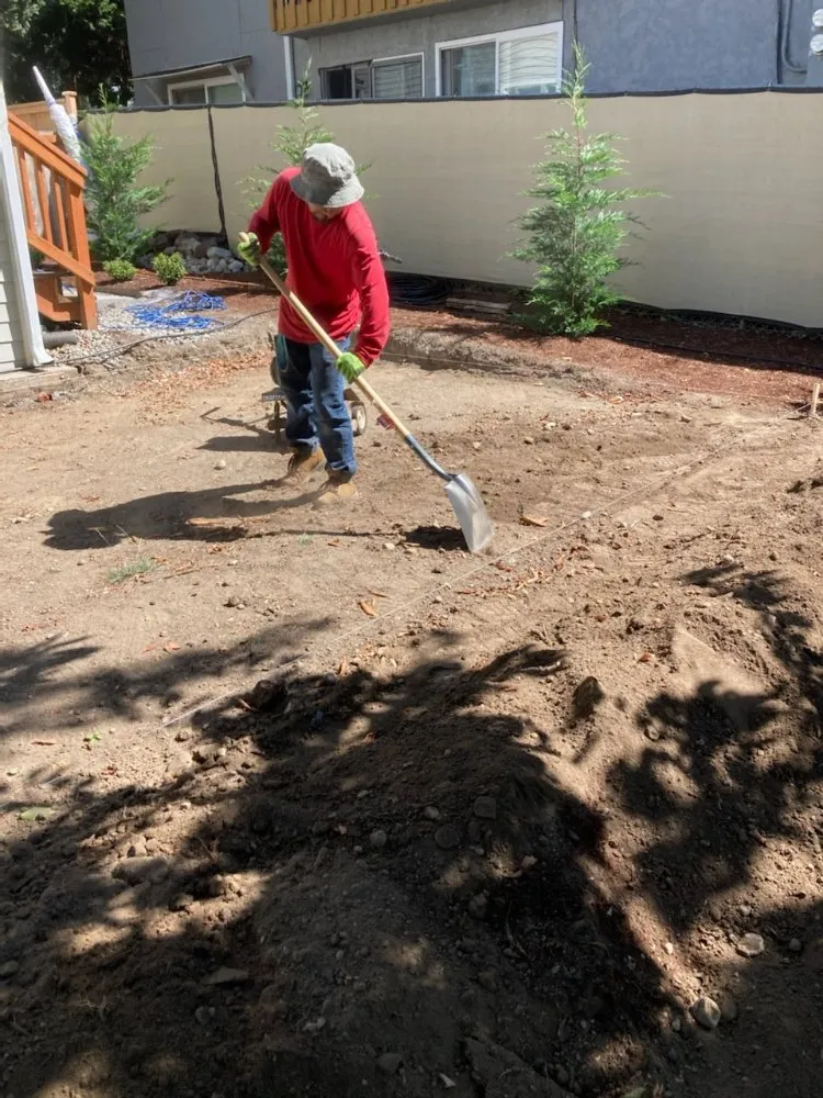 Expert yard maintenance experts serving Seattle, WA - Luis Landscaping