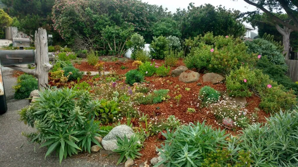 Professional lawn mowing service near you in Seaside, CA by Luis Landscaping Services