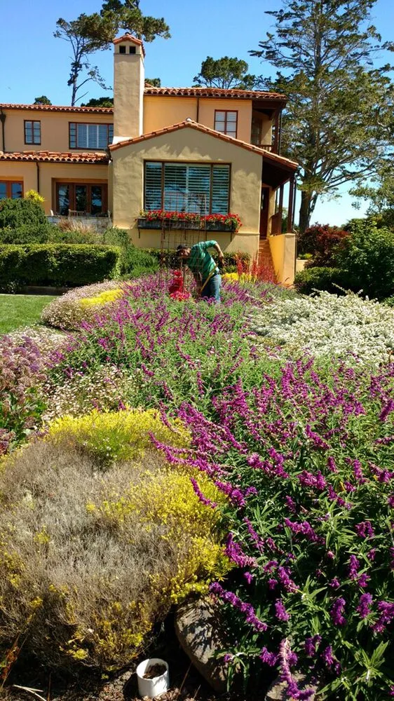 Local landscaping services experts serving Seaside, CA - Luis Landscaping Services