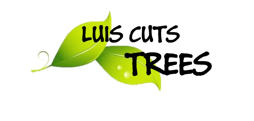 Custom landscape design experts serving Wyandanch, NY - Luis Landscaping services