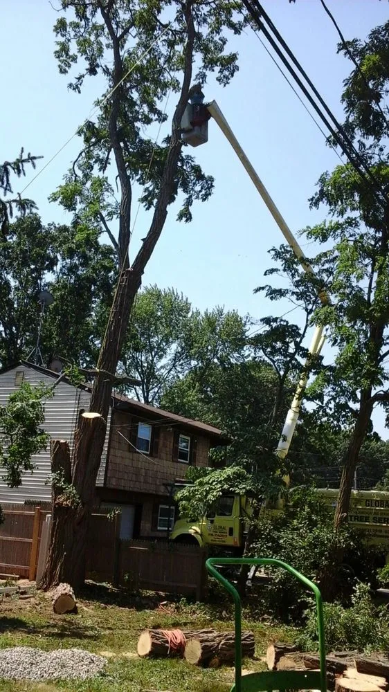 Top-rated residential landscaping for outdoor upgrades in Wyandanch, NY by Luis Landscaping services