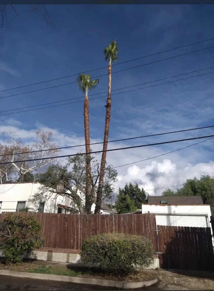 Reliable outdoor landscaping in South Pasadena, CA by Luis landscaping