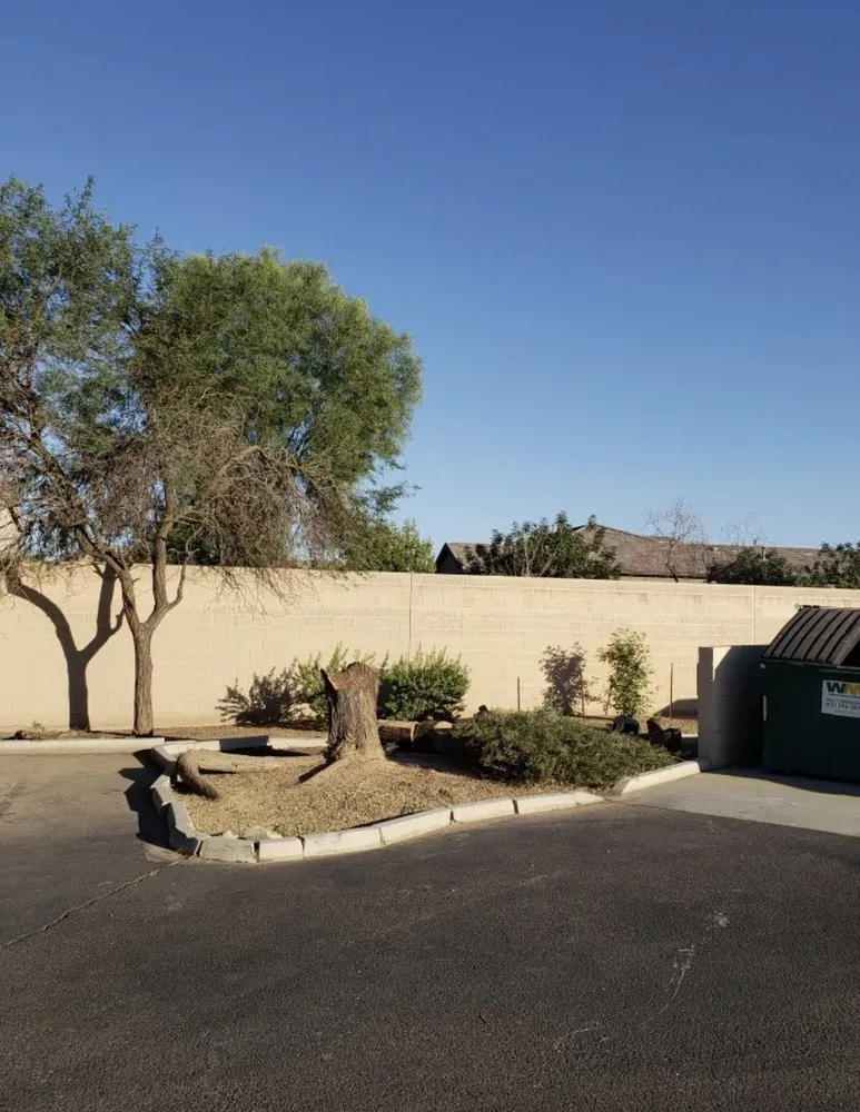 Expert landscaping services in Wittmann, AZ - Luis Landscaping