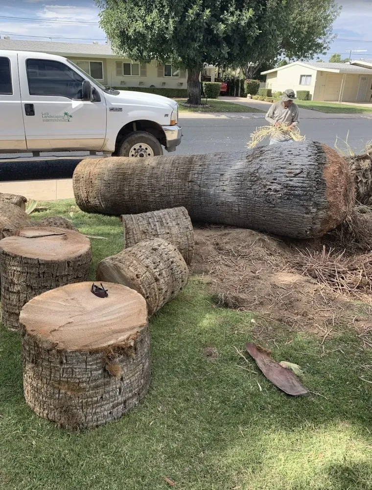 Trusted yard cleanup service experts serving Wittmann, AZ - Luis Landscaping