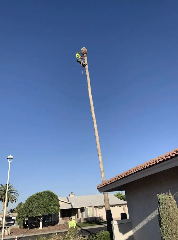 Affordable outdoor landscaping experts serving Wittmann, AZ - Luis Landscaping