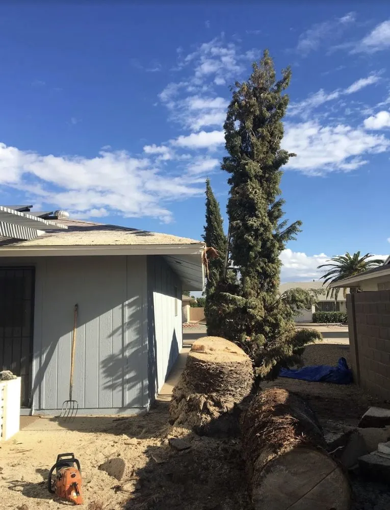 Professional yard cleanup service for beautiful yards in Wittmann, AZ by Luis Landscaping