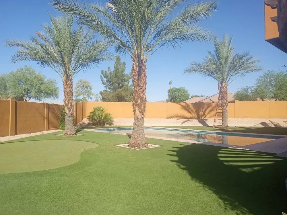 Reliable residential landscaping for residential properties across Wittmann, AZ - Luis Landscaping
