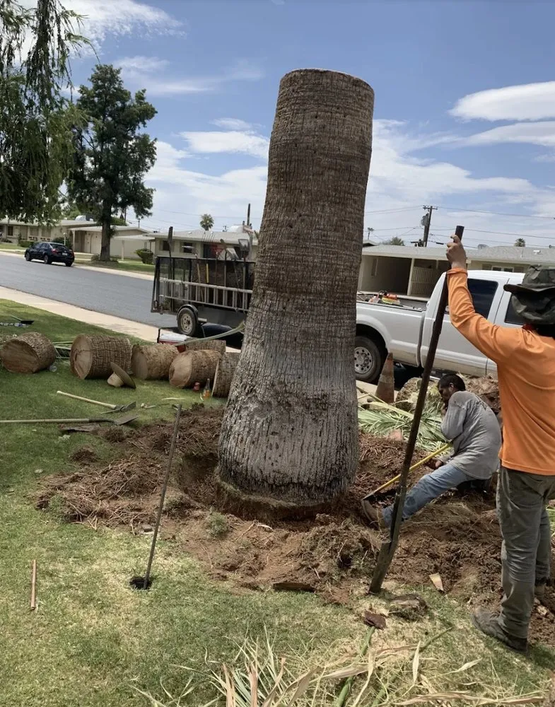 Affordable outdoor landscaping in Wittmann, AZ - Luis Landscaping