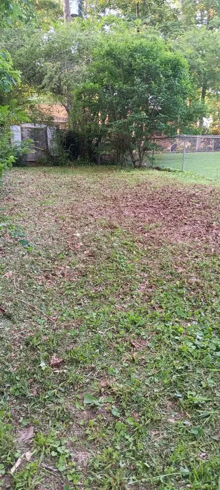 Local yard cleanup service for year-round maintenance in Arab, AL by Luis Lawn Care