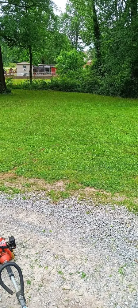 Custom landscaping services in Arab, AL - Luis Lawn Care