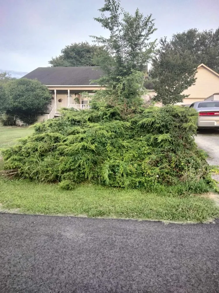 Reliable landscaping services near you in Arab, AL by Luis Lawn Care