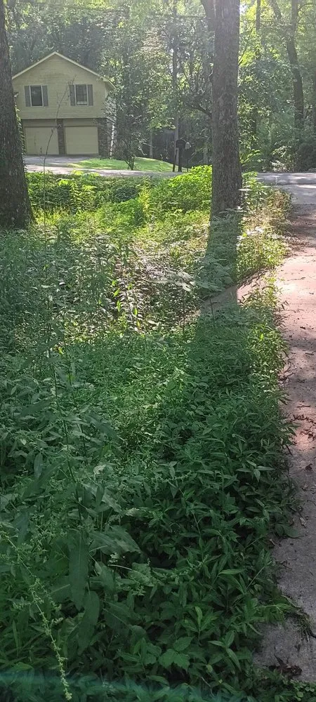 Expert lawn care service in Arab, AL by Luis Lawn Care