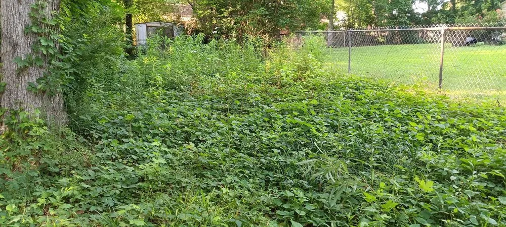 Expert landscape design with custom design in Arab, AL by Luis Lawn Care