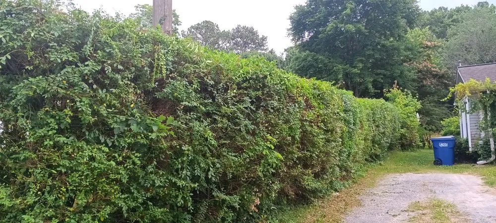 Custom garden landscaping for beautiful yards across Arab, AL - Luis Lawn Care