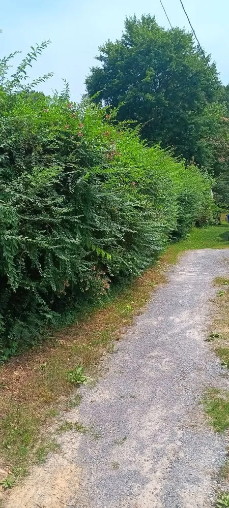 Custom outdoor landscaping in Arab, AL - Luis Lawn Care