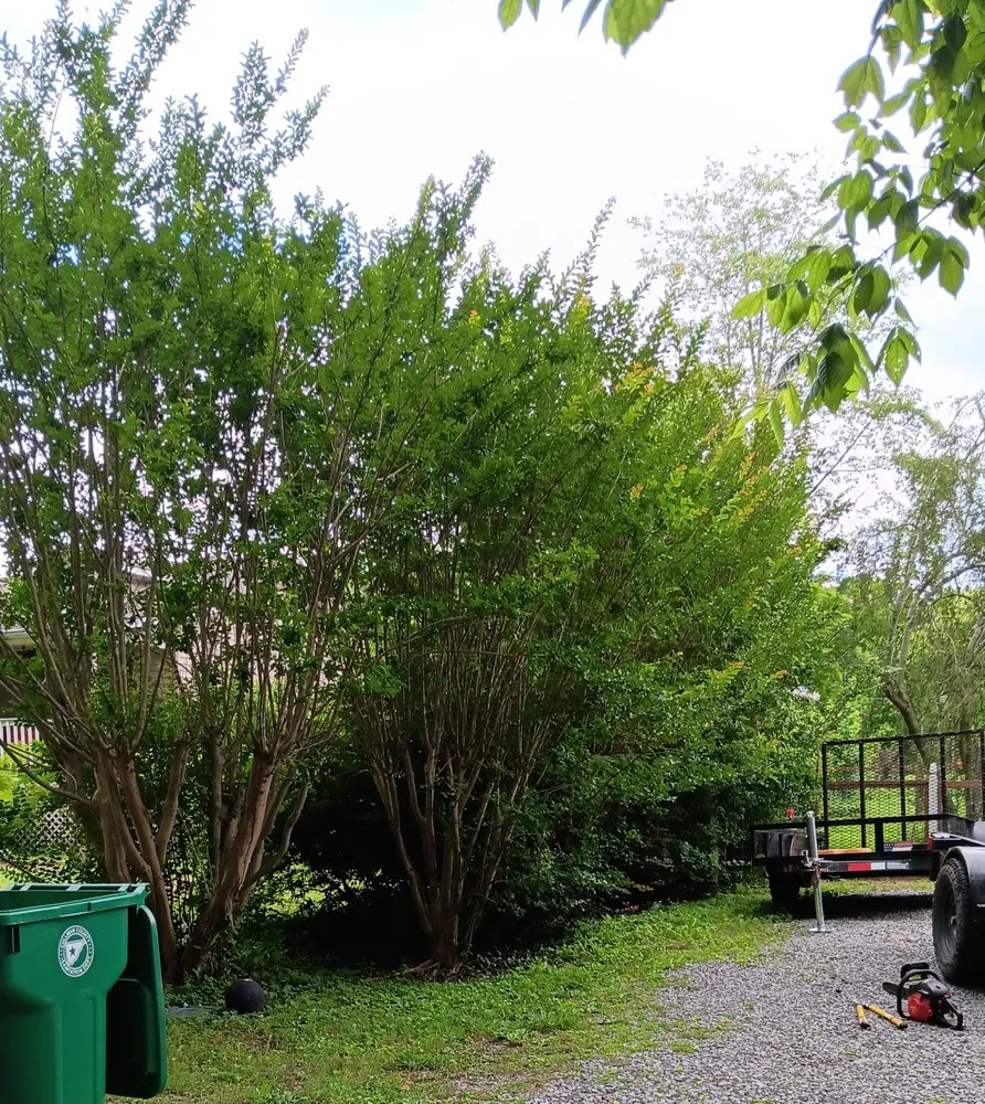 Trusted outdoor landscaping for outdoor upgrades in Arab, AL by Luis Lawn Care