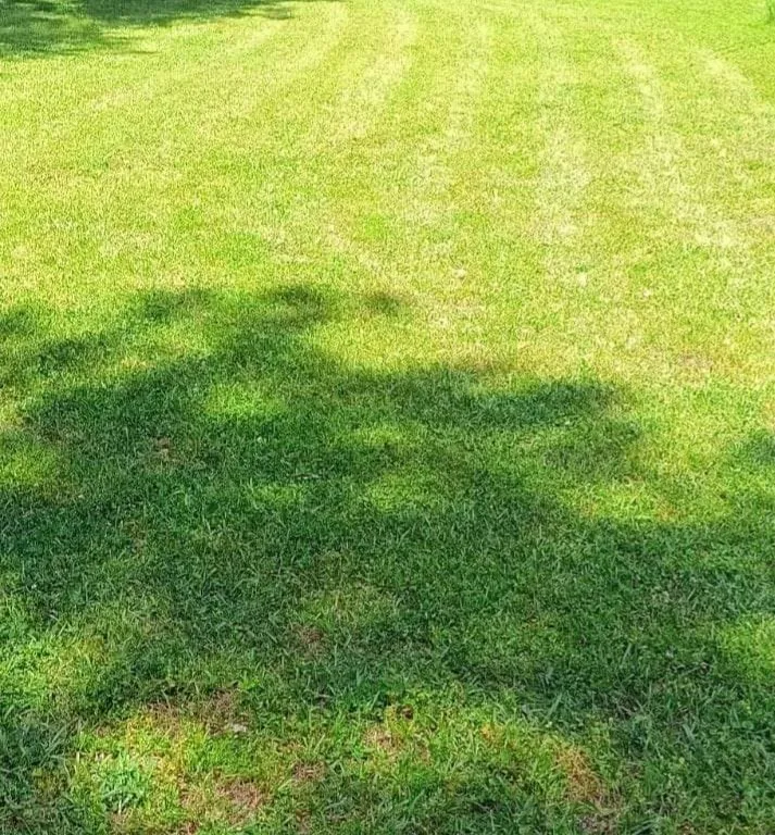 Custom residential landscaping for outdoor upgrades in Arab, AL by Luis Lawn Care