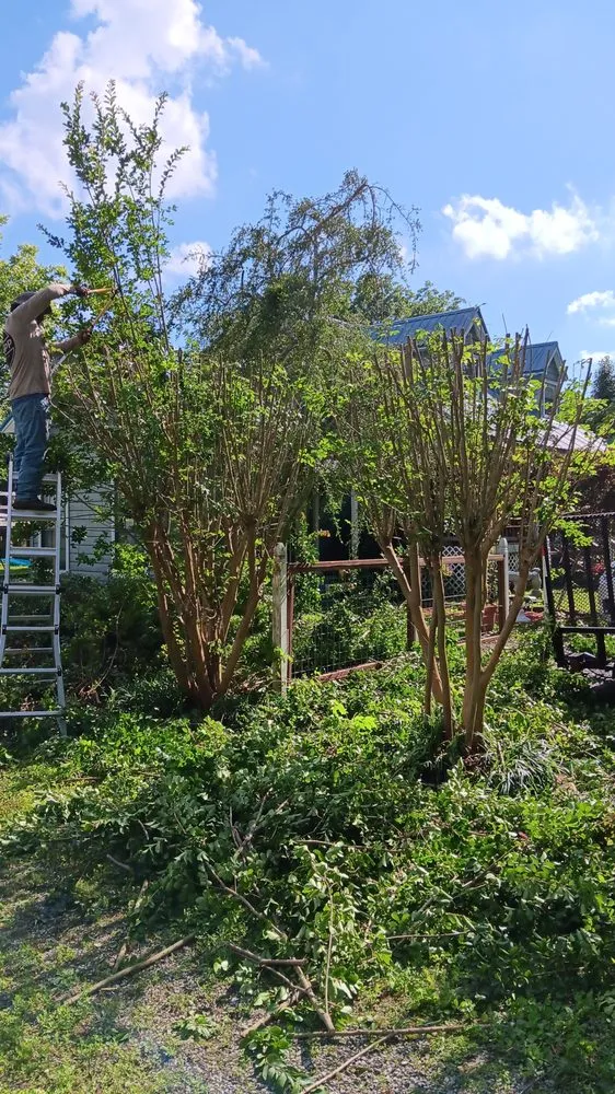 Reliable landscape installation in Arab, AL - Luis Lawn Care