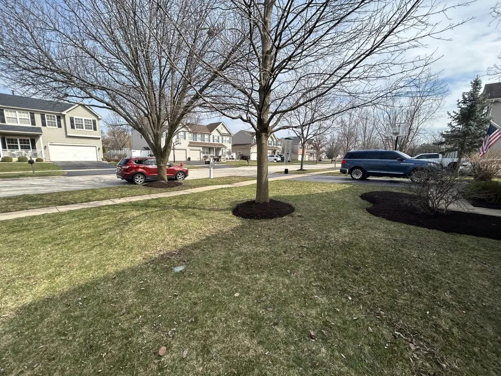 Affordable landscaping services for beautiful yards across Crystal Lake, IL - Luis lawn care